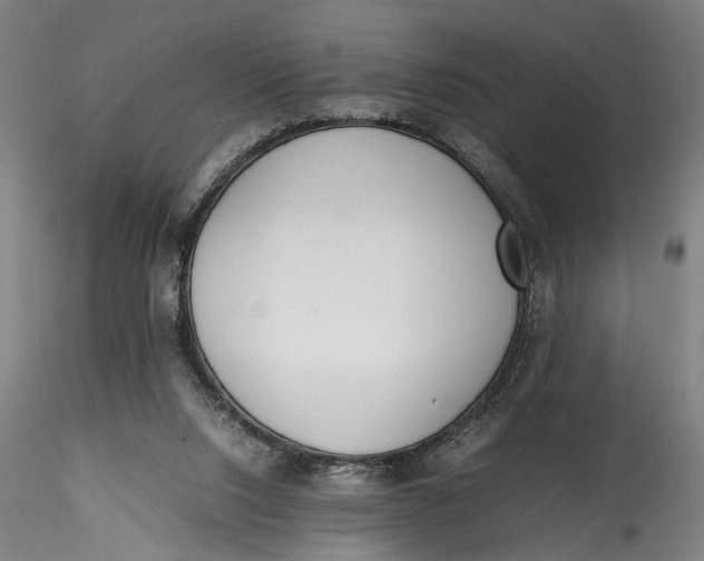 X0000115540064200911271420