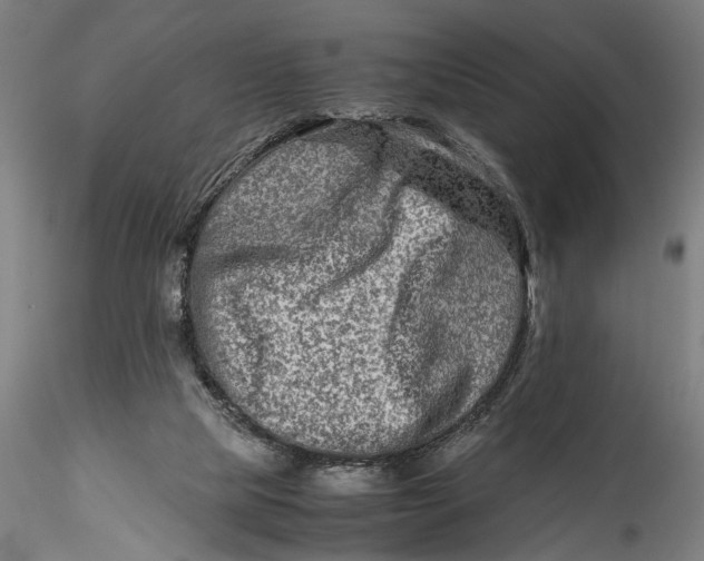 X0000115540065200911271420