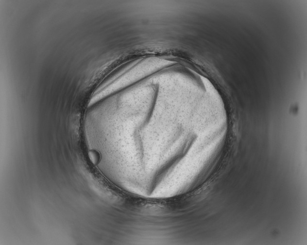 X0000115540066200911271420