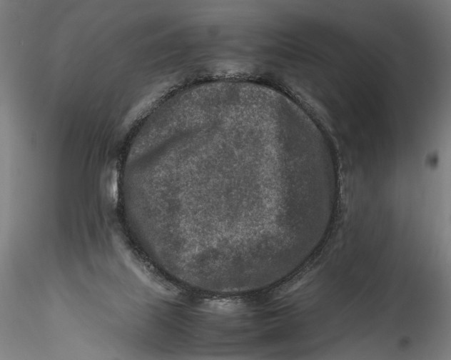 X0000115540067200911271420