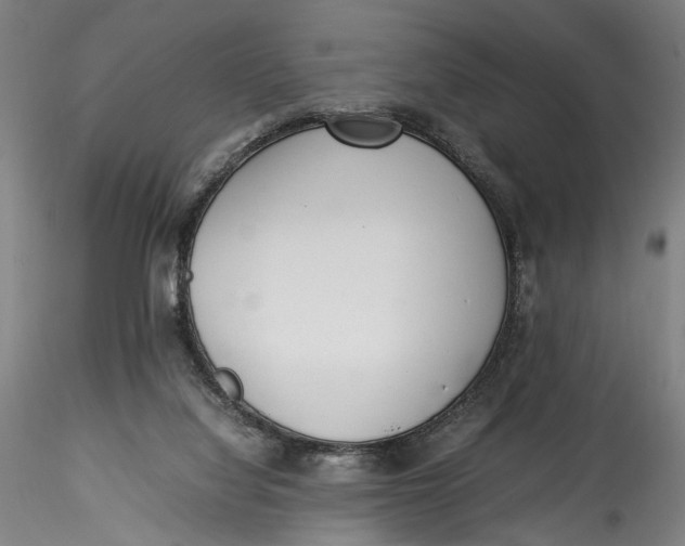 X0000115540068200911271420