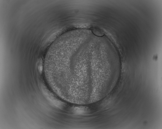 X0000115540069200911271420