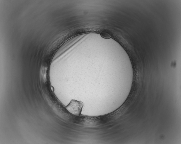 X0000115540070200911271420