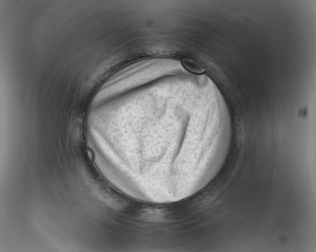 X0000115540071200911271420