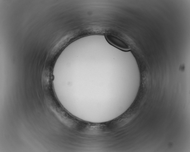 X0000115540072200911271420