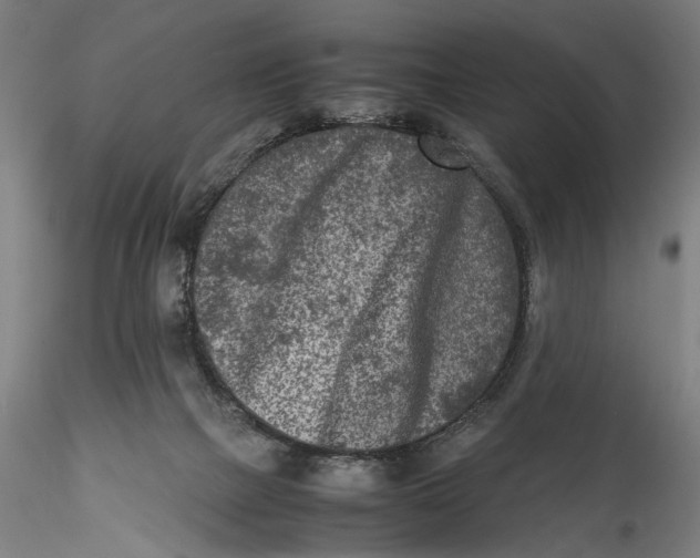 X0000115540073200911271420