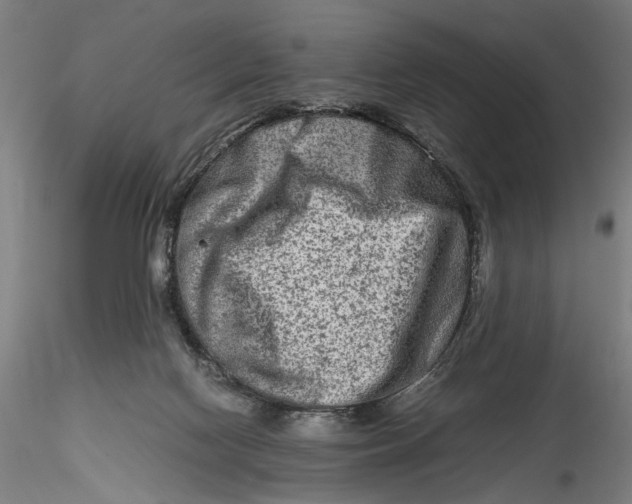 X0000115540074200911271420