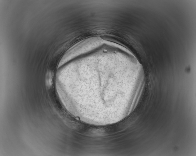 X0000115540075200911271420