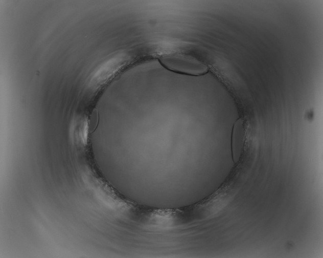 X0000115540076200911271420