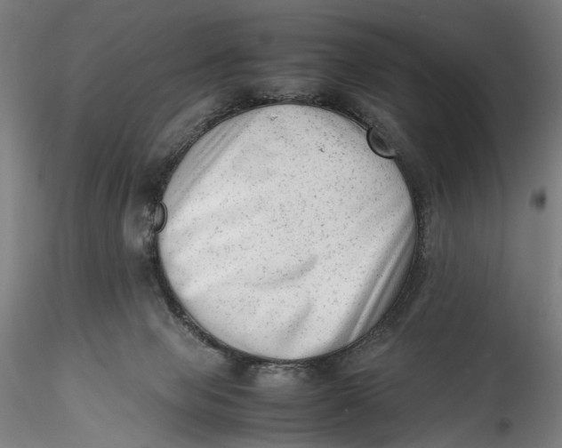 X0000115540077200911271420