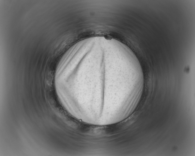 X0000115540078200911271420