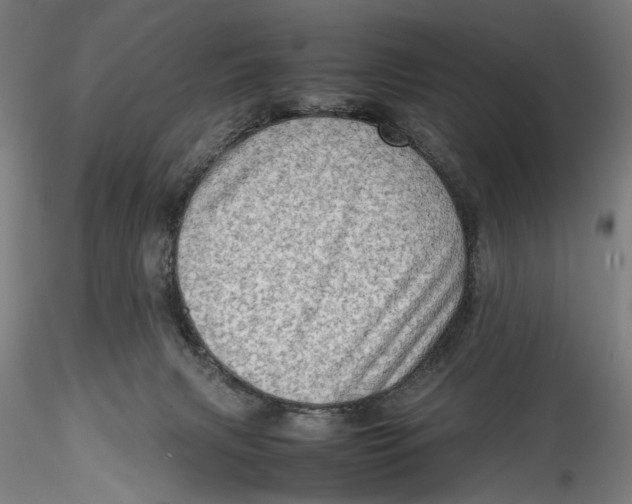 X0000115540079200911271420