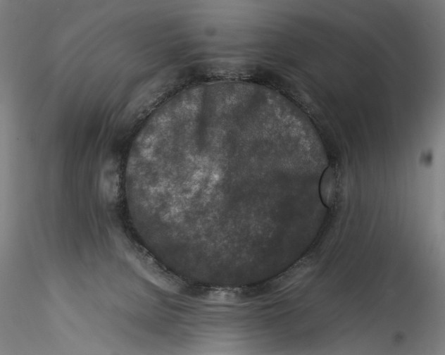 X0000115540080200911271420