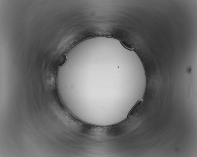 X0000115540084200911271420