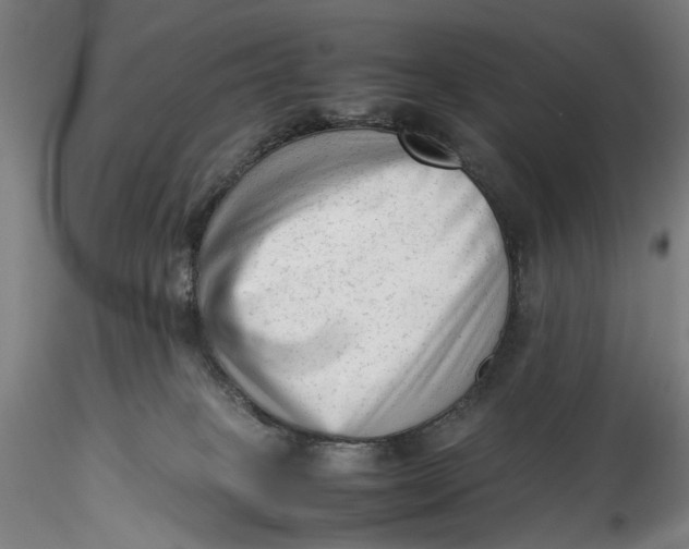 X0000115540085200911271420