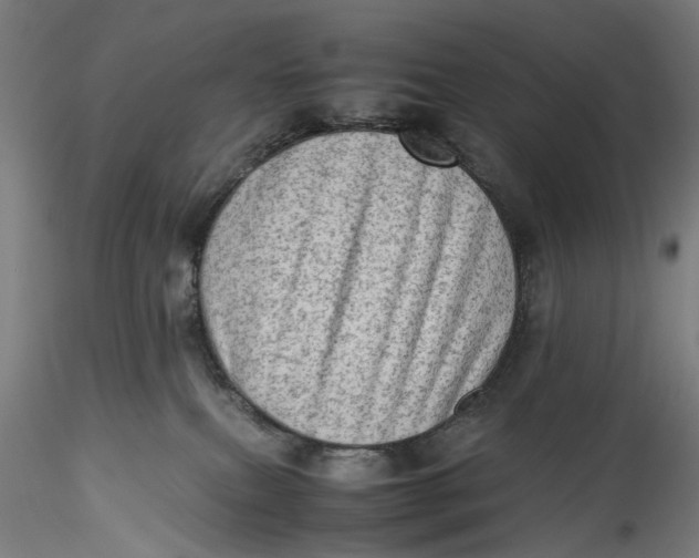 X0000115540087200911271420