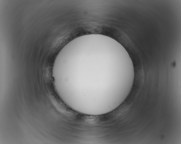 X0000115540088200911271420