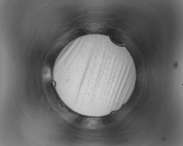 X0000115540089200911271420