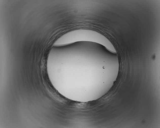 X0000115540092200911271420