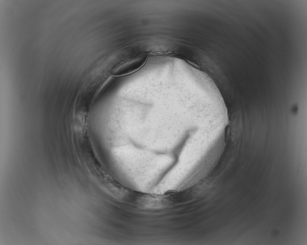 X0000115540093200911271420