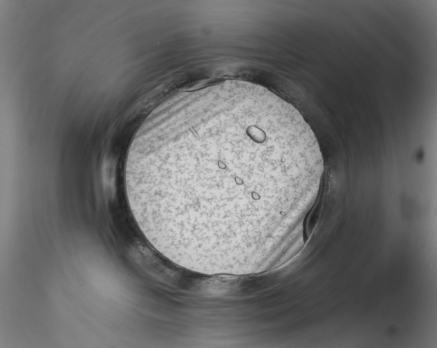 X0000115540094200911271420