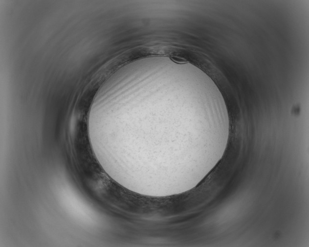 X0000115540095200911271420