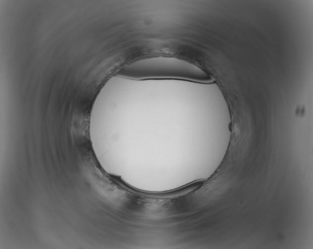 X0000115540096200911271420