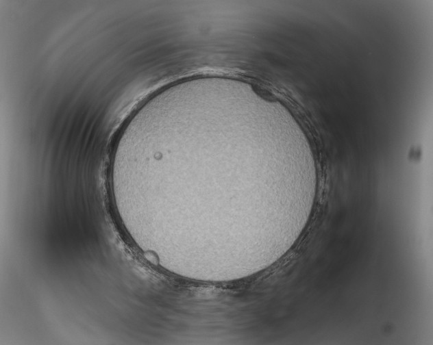 X0000115540098200911271420