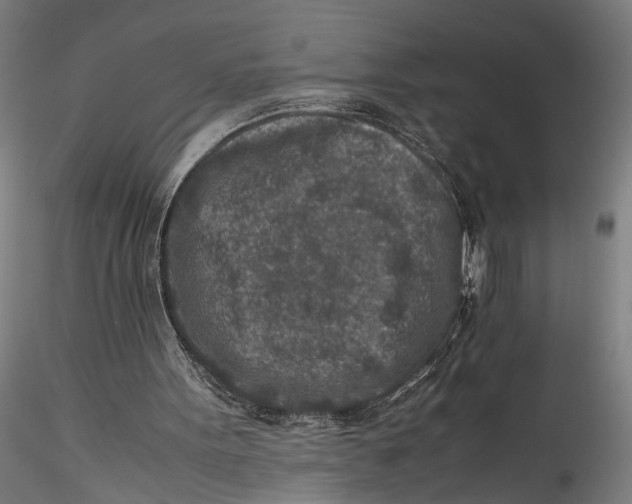 X0000115540099200911271420