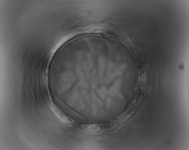 X0000115540100200911271420