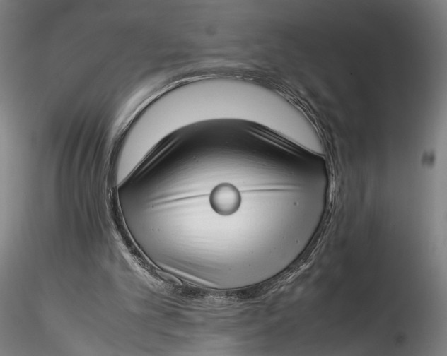 X0000115540101200911271420