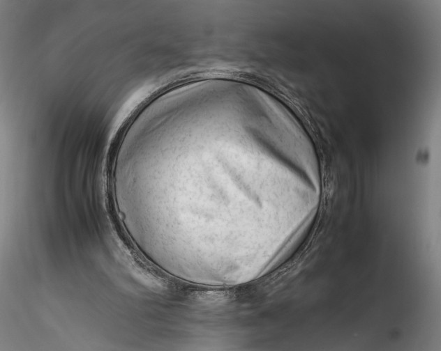 X0000115540102200911271420