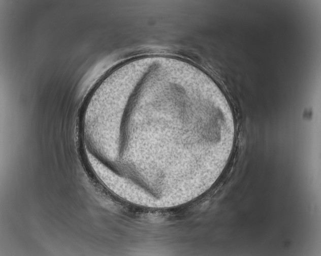 X0000115540103200911271420