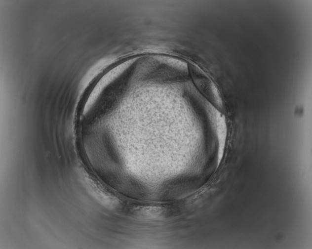 X0000115540104200911271419