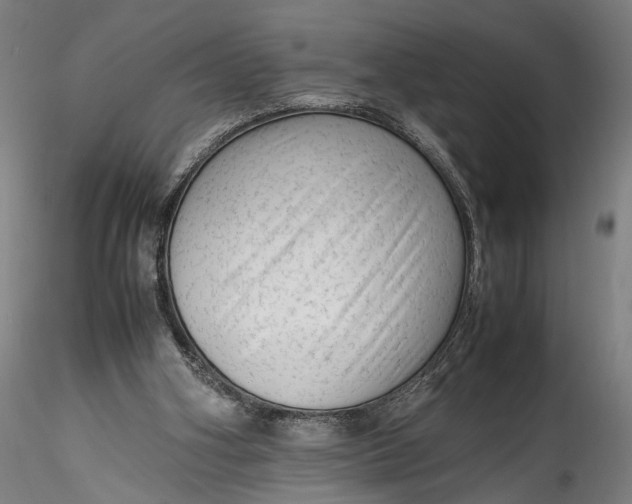 X0000115540106200911271419