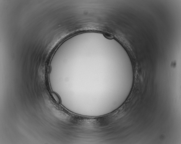 X0000115540108200911271419