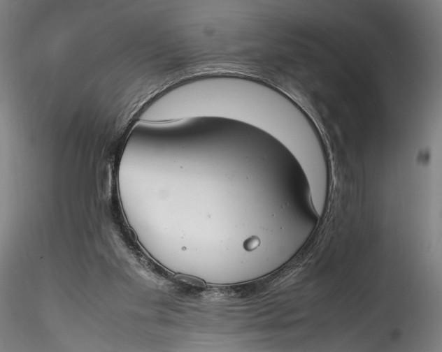 X0000115540109200911271419