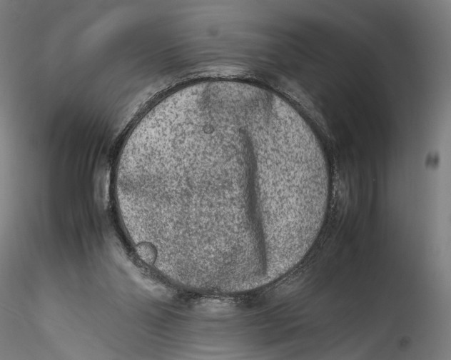 X0000115540110200911271419