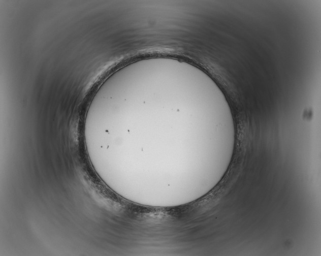 X0000115540112200911271419