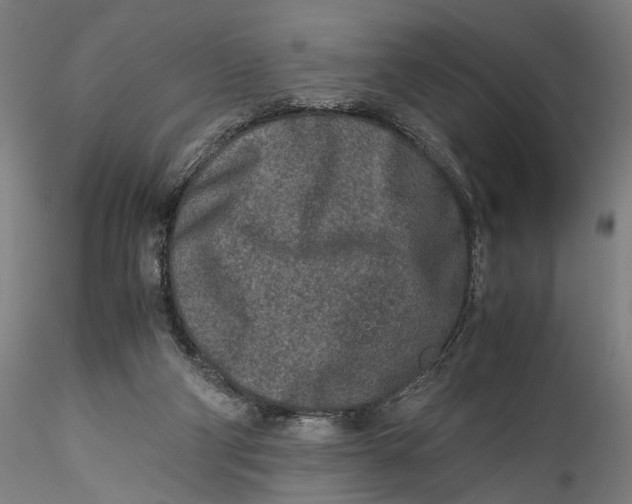 X0000115540114200911271419