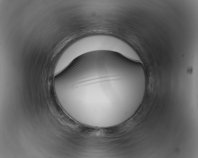 X0000115540116200911271419