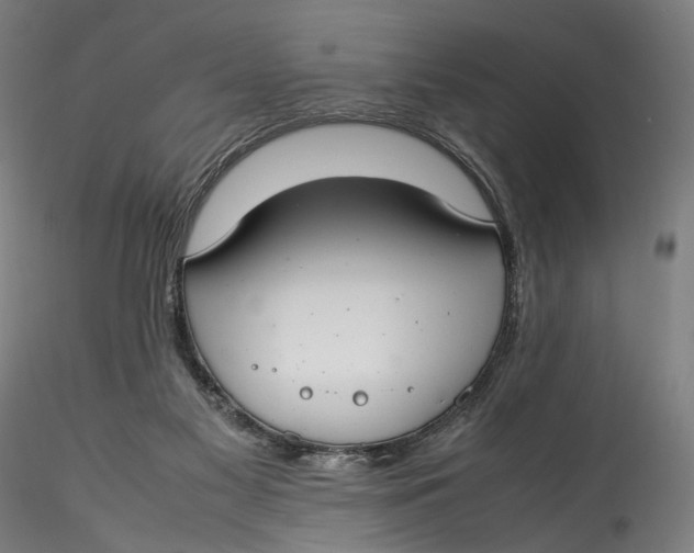 X0000115540117200911271419