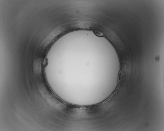 X0000115540120200911271419