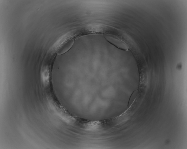 X0000115540124200911271419