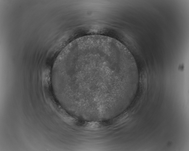 X0000115540127200911271419