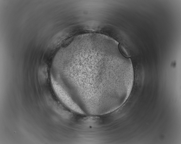 X0000115540128200911271419