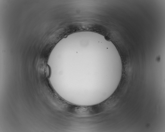 X0000115540129200911271419