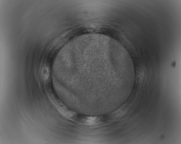 X0000115540130200911271419