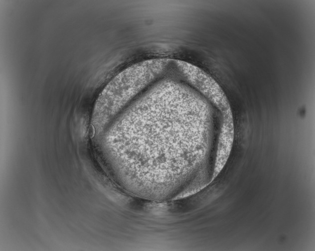 X0000115540131200911271419