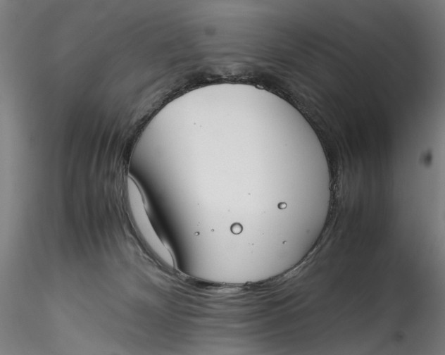 X0000115540132200911271419